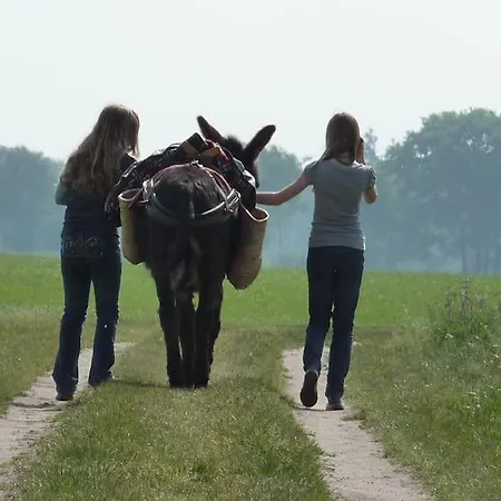 Nyaraló Lievelievelde Kindvriendelijk Familiehuis *