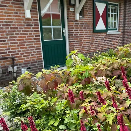 Lievelievelde Kindvriendelijk Familiehuis Nyaraló *